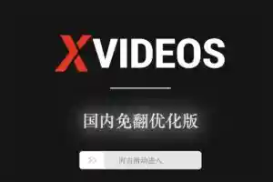 X站：国内免翻优化版学习网站