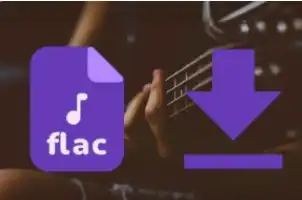 无损音乐下载：一站式 FLAC 搜索与多平台在线试听