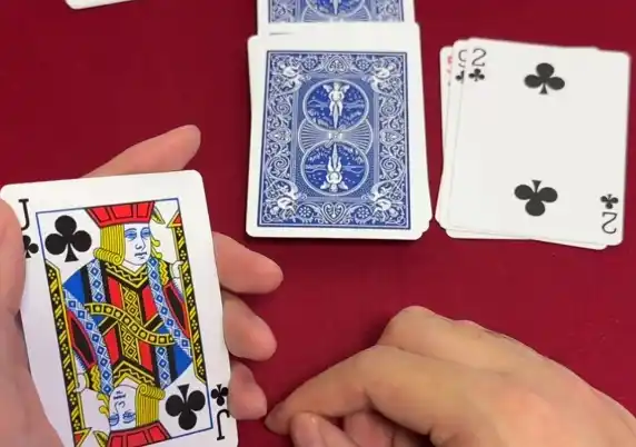 《纸牌过大年》全套纯手法合集花了39.9大洋买的