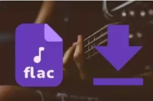 无损音乐下载：一站式 FLAC 搜索与多平台在线试听