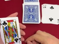 《纸牌过大年》全套纯手法合集花了39.9大洋买的